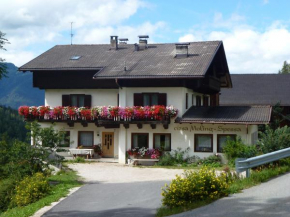 Lüch da Spescia Valle Di Cadore